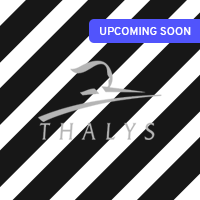 thalys-api-upcoming-soon