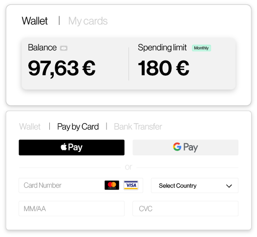 api-pay-en