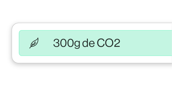 api-plan-reliable-en