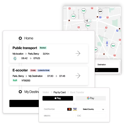 maas-public-experience-en